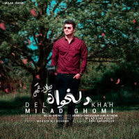 Milad Ghomi - Delkhah