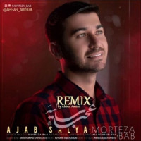 Morteza Bab - Ajab Salia ( Abbas Amini Remix )