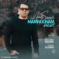 Amir Saeedi - Mamnoonam Azat