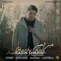 Radin Shahin - Gharibe Shod