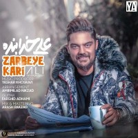 Ali Khodabandeh - Zarbeye Kari