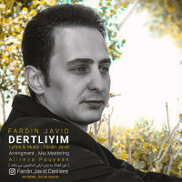 Fardin Javid - Dertliyim