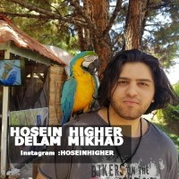 Hosein Higher - Delam Mikhad