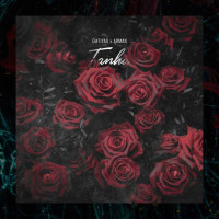 Emtiyar Ft Arman - Tanha