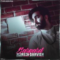 Alireza Darvish - Bargard