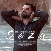 Mehdi Deldade - Seza