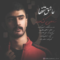 Shahin Keshavarz - Asheghe Tanha