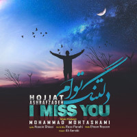 Hojat Ashrafzadeh - Deltange Toam