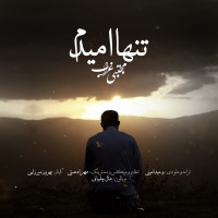 Mojtaba Ghorab - Tanha Omidam