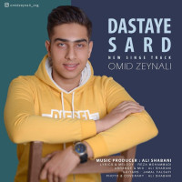 Omid Zeynali - Dastaye Sard