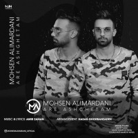 Mohsen Alimardani - Are Ashghetam