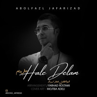 Abolfazl Jafarizad - Hale Delam