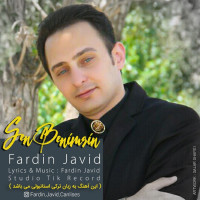 Fardin Javid - Sen Benimsin