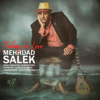 Mehrdad Salek - Falling In Love