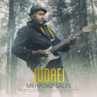 Mehrdad Salek - Jodaei