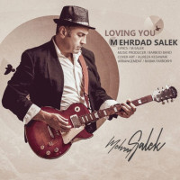 Mehrdad Salek - Loving You