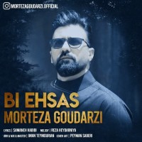 Morteza Goudarzi - Bi Ehsas