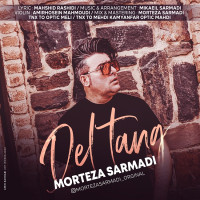 Morteza Sarmadi - Deltang
