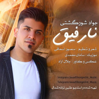 Javad Shorgeshti - Narefigh