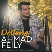 Ahmad Feily - Deltangi