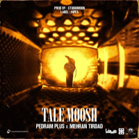 Mehran Tirdad Ft Pedram Plus - Tale Moosh