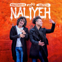 Mohsen Sharifian & Habib Meftah - Naliyeh