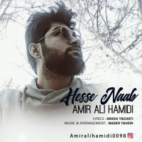 Amir Ali Hamidi - Hese Nab