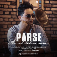 Hamid Mohammadian - Parse