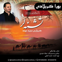 Majid Movahed - Bora Karbaladi