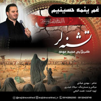 Majid Movahed - Gham Yema Hoseinim