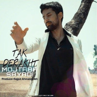 Mojtaba Sayadi - Tak Derakht