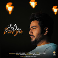 Pedram Paliz - Darya