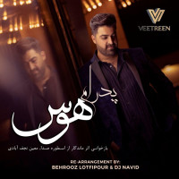 Pedram Ft Behrooz Lotfipour & Dj Navid - Havas