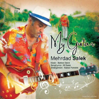 Mehrdad Salek - My Guitar