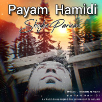 Payam Hamidi - Shoghe Parvaz