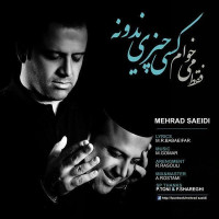 Mehrad Saeidi - Faghat Mikham Kasi Chizi Nadoone