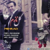 Mehrad Saeidi - Gole Nazam