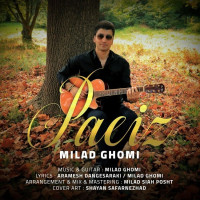 Milad Ghomi - Paeiz