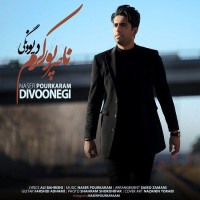 Naser Pourkaram - Divoonegi
