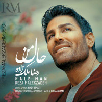 Reza Malekzadeh - Hale Man