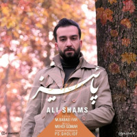 Farid Fathi - Sale Paeezi