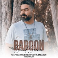 Saeid Soran - Baroon