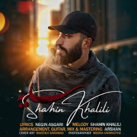 Shahin Khalili - Saye