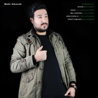 Shahrokh Ata - Hale Kharab