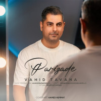 Vahid Tavana - Parizade