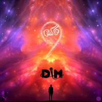 DIM - Vakonesh