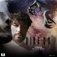 Hooman MK - Dire Dige