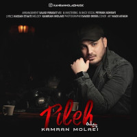 Kamran Molaei - Pileh