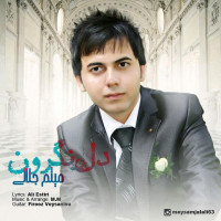 Meysam Jalali - Del Negaroon