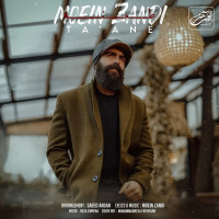 Moein Z - Taane